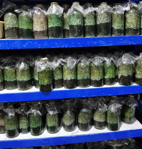 &#24320;&#20803;&#32593;&#31449;&#30331;&#24405;&#20837;&#21475;&#95;&#24320;&#20803;&#65288;&#20013;&#22269;&#65289;